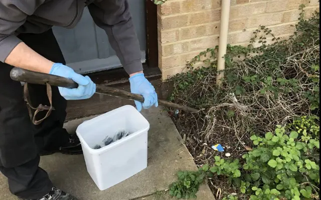 Worker clearing out foliage from around house for pest inspection
