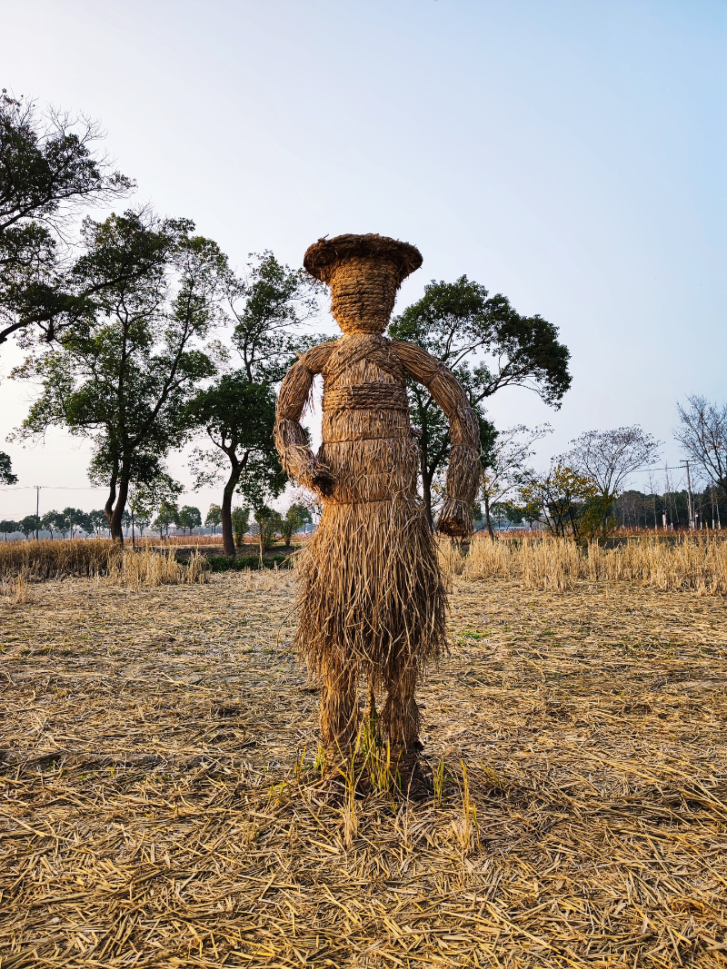 Bird Control Methods