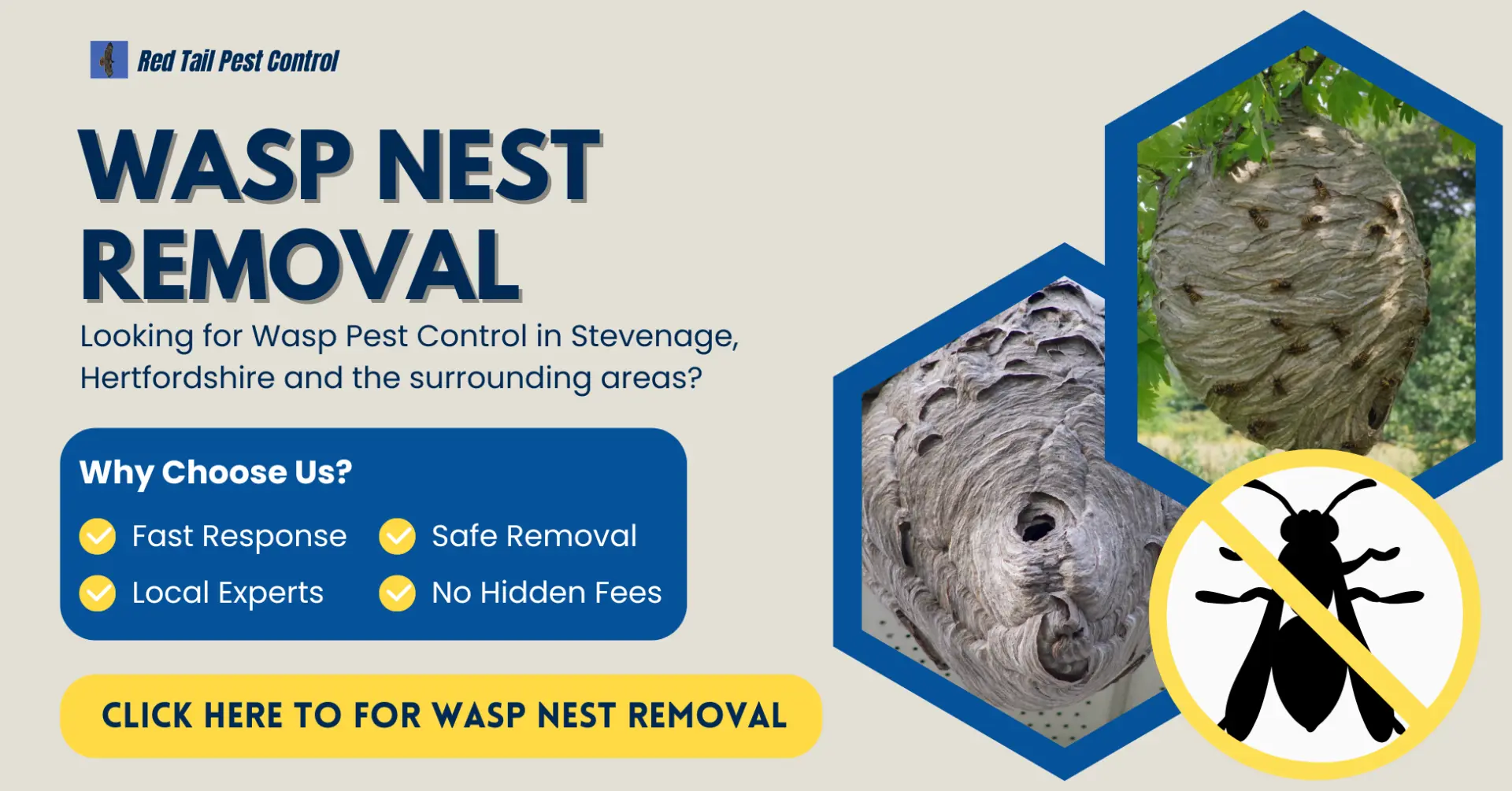 Wasp Nest Removal